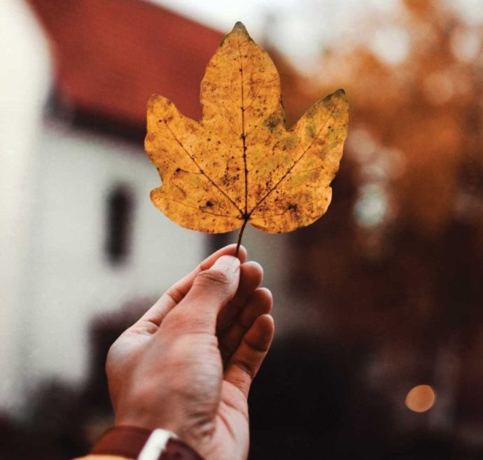 man holding leaf in front of home in the fall