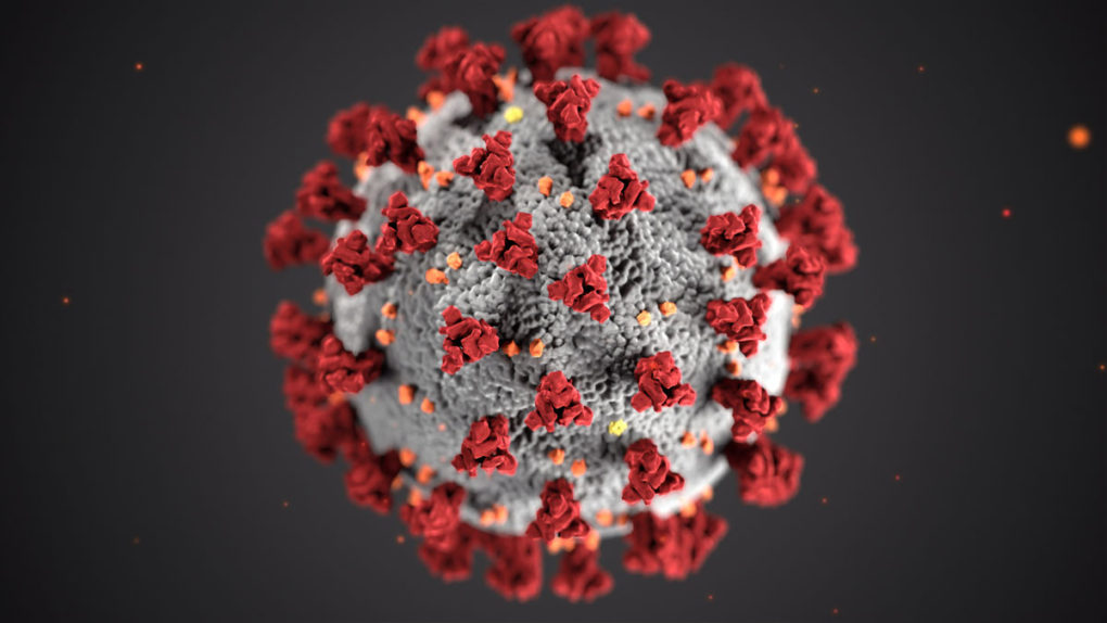 An illustration of coronavirus