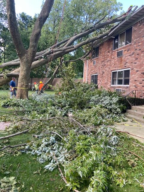 Tropical Storm Isaias 2020 - Before Repairs